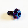 Titanium clutch retainer screw 6AL/4V
