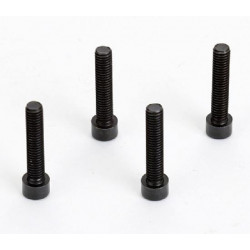 Cooling Head Screw (4)