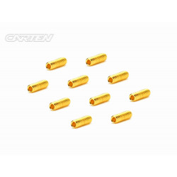 Set Screw 12.9- SS M3x10(Gold Coating) (10)