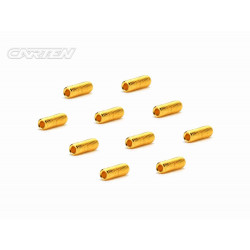 Set Screw 12.9- SS M3x8(Gold Coating) (10)
