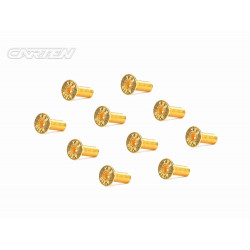 Screw Set 12.9- FH M4x12(Gold Coating) (10)