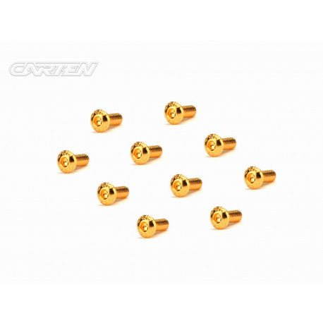 Screw Set 12.9- BH M3x8(Gold Coating) (10)