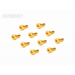 Screw Set 12.9- CH M3x10(Gold Coating) (10)