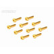 Screw Set 12.9- CH M3x22(Gold Coating) (10)