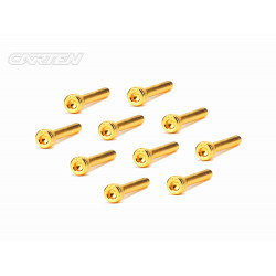 Screw Set 12.9- CH M3x22(Gold Coating) (10)