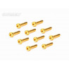 Screw Set 12.9- CH M3x22(Gold Coating) (10)