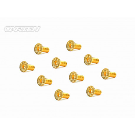 Screw Set 12.9- FH M4x10(Gold Coating) (10)