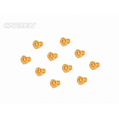 Screw Set 12.9- FH M3x6 (Gold Coating) (10)