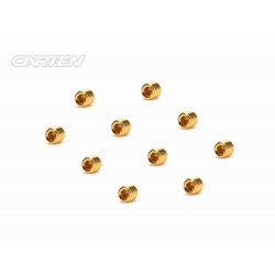 Set Screw 12.9- SS M5x5(Gold Coating) (10)