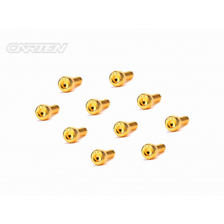 Screw Set 12.9- CH M3x12(Gold Coating) (10)