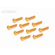 Screw Set 12.9- BH M3x22(Gold Coating) (10)