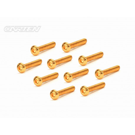 Screw Set 12.9- BH M3x22(Gold Coating) (10)