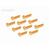 Screw Set 12.9- BH M3x22(Gold Coating) (10)
