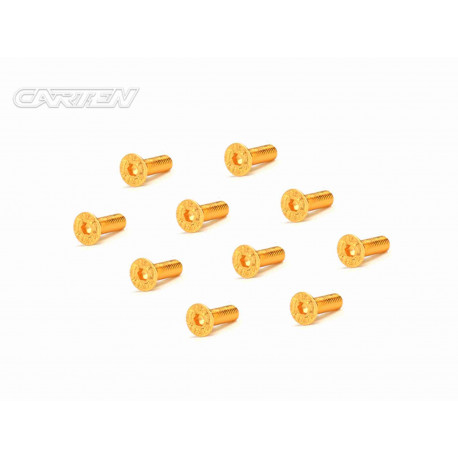 Screw Set 12.9- FH M3x10(Gold Coating) (10)