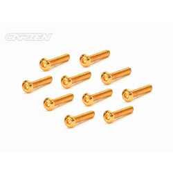 Screw Set 12.9- BH M3x20(Gold Coating) (10)