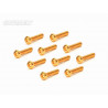 Screw Set 12.9- BH M3x20(Gold Coating) (10)