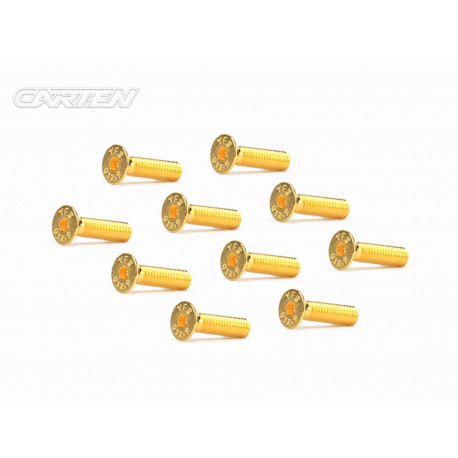 crew Set 12.9- FH M4x16(Gold Coating) (10)