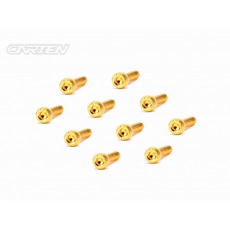 Screw Set 12.9- CH M3x16(Gold Coating) (10)