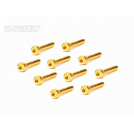 Screw Set 12.9- CH M3x25(Gold Coating) (10)