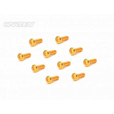 Screw Set 12.9- BH M3x10(Gold Coating) (10)