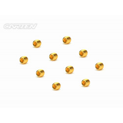 Set Screw 12.9- SS M3x3(Gold Coating) (10)