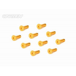 Screw Set 12.9- FH M3x12(Gold Coating) (10)