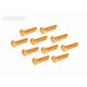 Screw Set 12.9- BH M3x25(Gold Coating) (10)