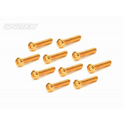 Screw Set 12.9- BH M3x25(Gold Coating) (10)