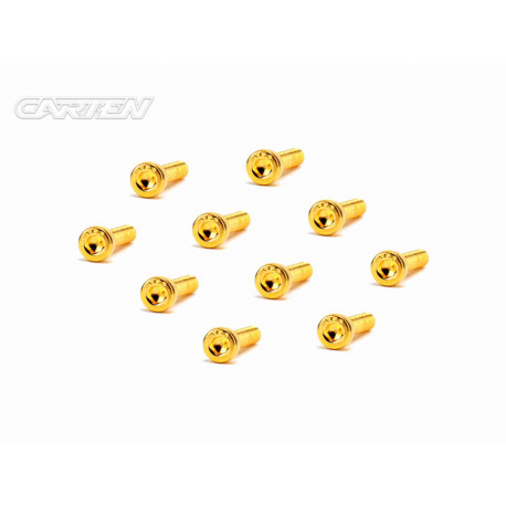 Screw Set 12.9- CH M3x18(Gold Coating) (10)