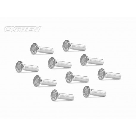 Screw Set 12.9- FH M4x16(Nickel Coating) (10)