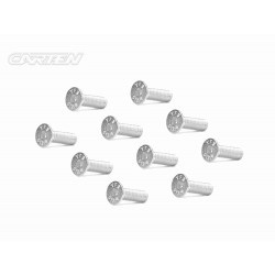 Screw Set 12.9- FH M4x14(Nickel Coating) (10)