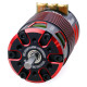 Brushless Motor TAURUS 4268 2450Kv