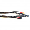 Cordon de charge 4S XT60 vers PK5 40cm