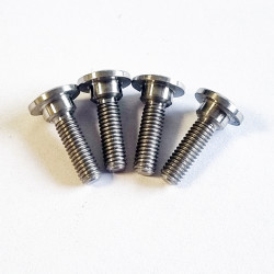 Titanium flanged servo screw (4pcs)