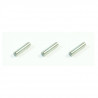 Pin 2.5x10.8mm (3)