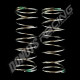 S14/S12/S104 Competition Shock SpringB1(60X1.2X10.75)(PN)