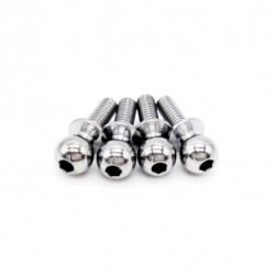 1/10 Rotules D5.5mm x L10mm (4pcs)