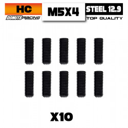 Flat Point Screws M5x4 Steel (10)