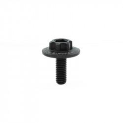 ULTIMATE CLUTCH SCREW (2pcs)