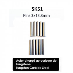 3x13.8mm SK51 Pins (10)