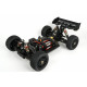 APOLLO II eEVO pro 1/8 Brushless RTR