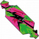 Chassis plate custom shield (2)
