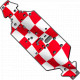 Chassis plate custom shield (2)