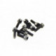 M3x10mm Cap Screw (10)