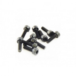 M3x10mm Cap Screw (10)