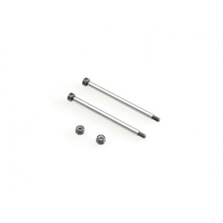 Rear Outer Hingepins