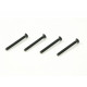 M3x30mm FH/ST HEX Screw (4pcs)