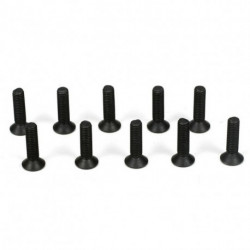 Flathead Screws, M3 x 12mm (10)