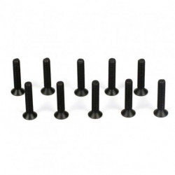 Fltahead Screws, M3 x 16mm (10)