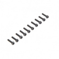 Vis CHC M2,5 x 10mm (10)